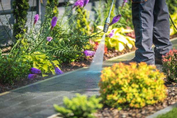 Best Patio and Deck Pressure Washing  in Holiday, FL