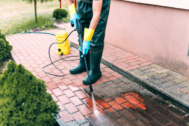 Best Roof Washing  in Holiday, FL